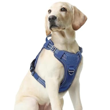 rabbitgoo Dog Harness Medium Sized No Pull, Tactical Service Pet Vest with Molle and Control Handle, Adjustable and Reflective Military Harness for Easy Walking and Training, Blue, M - Image 1