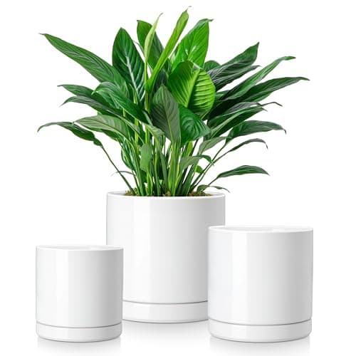 vancasso Ceramic Plant Pots, 3 Piece Planters for Indoor Plants, 4.25+5.25+6.25 Inch Flower Pots with Drainage, Plant Pots Indoor for Succulent, Pothos, Snake Plant and Money Tree, Etc (White)