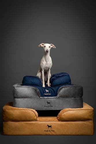 NOAH & PAW Giant Dog Bed XXL, 55x45x11 Inch, Orthopedic Dog Beds, Eggshell Memory Foam Infused with Cooling Gel, Inner Cover, Waterproof, Machine Washable (Velvet Sofa Collection) - Image 7