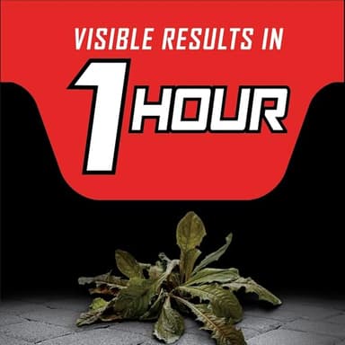 Ortho GroundClear Year Long Vegetation Killer2 Concentrate, Kills and Prevents Weeds Up to 12 Months, 1 gal. - Image 6