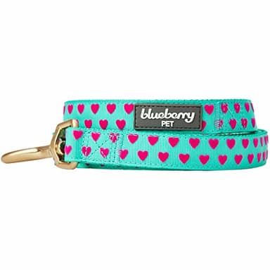 Blueberry Pet Valentine's Day Dog Leash, Velvety Soft-Touch Heart Flocking Lead for Small Dogs, Minty Green, 5 ft x 5/8" - Image 3