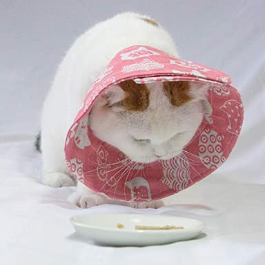 Cat Cone Collar Adjustable After Surgery, Comfortable Pet Cone E-Collar for Large Medium Small Cats Kitten Puppy to Stop Licking(Pink Cat-L) - Image 6