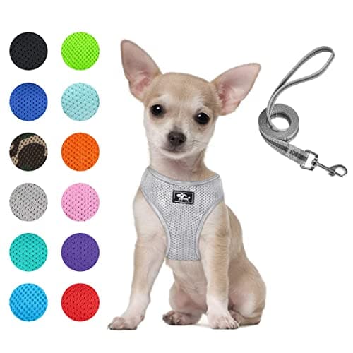 Puppy Harness and Leash Set - Dog Vest Harness for Small Dogs Medium Dogs- Adjustable Reflective Step in Harness for Dogs, Cats - Soft Mesh Comfort Fit No Pull No Choke (S, Grey) - Image 1