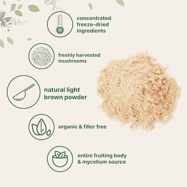 Micro Ingredients Organic Lion’s Mane Mushroom Powder, 8oz | Pure Fruiting Body Superfood | Supports Brain, Focus, Energy & Immune Health | Great for Smoothies & Coffee | Filler Free, Vegan, Non-GMO - Image 3