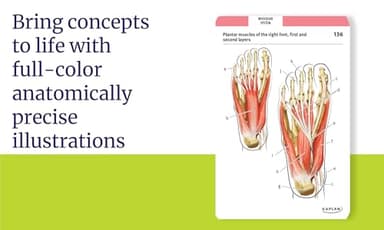 Anatomy Flashcards: 300 Flashcards with Anatomically Precise Drawings and Exhaustive Descriptions - Image 5