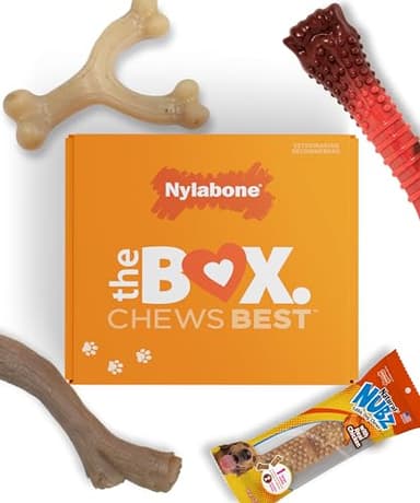 Nylabone Dog Gift Box, Includes 3 Strong Chew Toys and 1 Natural Treat, Gifts for Dogs, Large - Up to 50 lbs, 4 Pack - Image 1