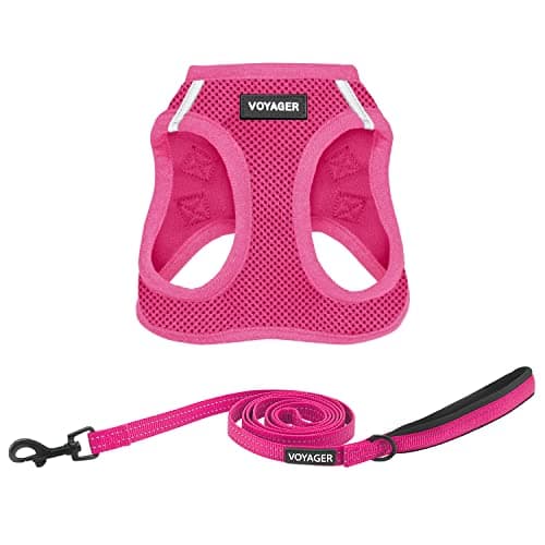 Voyager Step-in Air All Weather Mesh Harness and Reflective Dog 5 ft Leash Combo with Neoprene Handle, for Small, Medium and Large Breed Puppies by Best Pet Supplies - Set (Fuchsia), S - Image 1