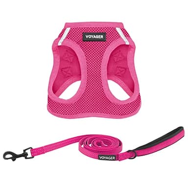 Voyager Step-in Air All Weather Mesh Harness and Reflective Dog 5 ft Leash Combo with Neoprene Handle, for Small, Medium and Large Breed Puppies by Best Pet Supplies - Set (Fuchsia), S - Image 1