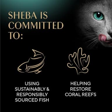 Sheba Perfect Portions Wet Cat Food Cuts in Gravy Variety Pack, Roasted Chicken Entree, with Sustainable Salmon, and Tender Turkey Entree, 2.6 oz. Twin-Pack Trays (24 Count, 48 Servings) - Image 7