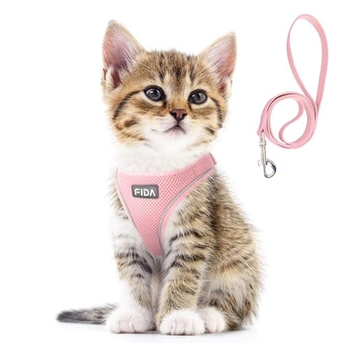 Fida Cat Harness and Leash Set for Walking Kitten and Puppy, Escape Proof Kitten Harness with Breathable Lightweight Soft Mesh, Adjustable Reflective Step-in Design. (XXXS, Pink) - Image 1