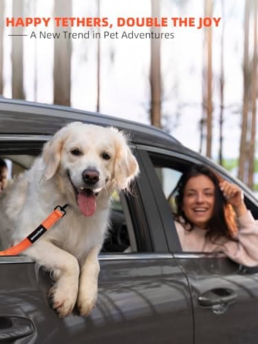 Heavy Duty Double-Handle Dog Leash with Reflective Design,4~6FT No-Pull Dog Leash for Medium to Large Dogs,Traffic Handle and Retractable Car Safety Harness with Elastic Bungee Leash. - Image 6