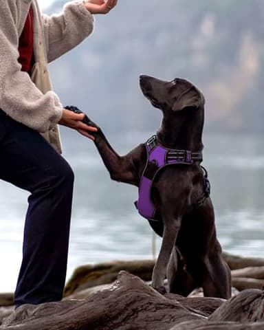 Joytale No Pull Dog Harness for Small Dogs, Reflective Pet Vest with Front Clip, Adjustable Soft Padded Harnesses with Easy Control Handle for Training and Walking, Purple, S - Image 3