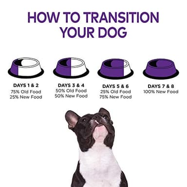 Wellness Complete Health Dry Dog Food for Small Dogs, Toy Breed, Wholesome Grains, Natural, Chicken, Brown Rice, & Peas Recipe, 4-Pound Bag - Image 10