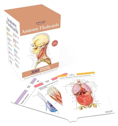 Anatomy Flashcards: 300 Flashcards with Anatomically Precise Drawings and Exhaustive Descriptions - Image 1