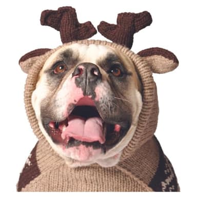 Chilly Dog Moosey Hoodie (XX-Small) - Image 2