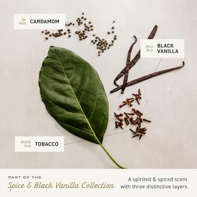 Cremo Cologne For Men - Spice & Black Vanilla Mens Cologne Spray, An Explosion of Vibrant Spices, Dark Woods and Black Vanilla, Multi-Layered Signature Men's Fragrances, 3.4 Fl Oz - Image 6