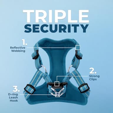 Best Pet Supplies Voyager Mesh Dog Breathable Harness Reflective Stitching, All Weather Adjustable for Walking Training, or Running - Heavy Duty & Durable, Harness (Turquoise), S - Image 2