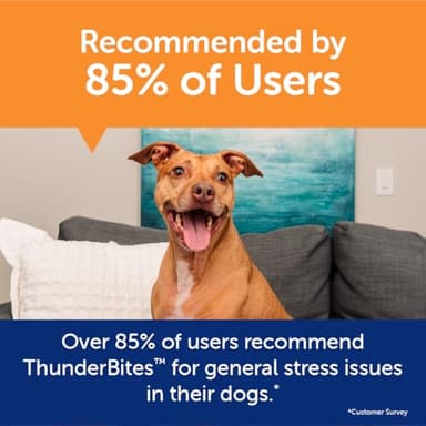 ThunderWunders Hemp Dog Calming Chews | Vet Recommended for Situational Anxiety | Fireworks, Thunderstorms, Travel & More | Made with Hemp Seed, Thiamine, L-Tryptophan, Melatonin & Ginger (60 Count) - Image 7