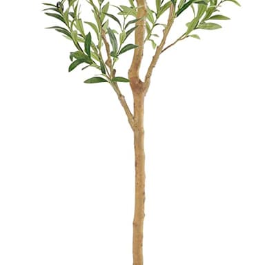 Bellacat Faux Olive Tree 6ft，Olive Trees Artificial Indoor with Natural Wood Trunk and Realistic Leaves and Fruits. 6 Feet(72in) Fake Olive Tree for Home House Office Décor. - Image 3