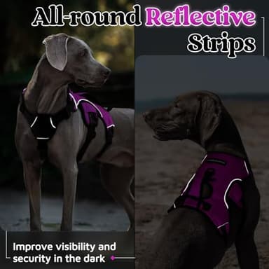 rabbitgoo Escape Proof Dog Harness, Soft Padded Full Body Pet Harness, Reflective Adjustable No Pull Vest with Lift Handle and Leash Clip for Large Dogs Walking Hiking Training, M, Purple - Image 7