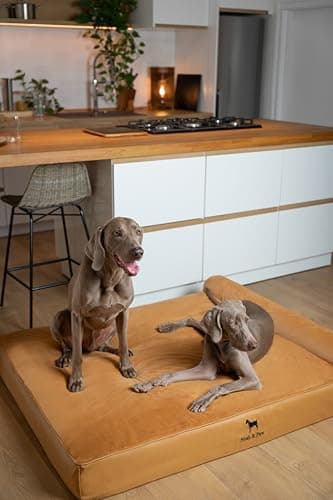 NOAH & PAW Giant Dog Bed XXL 55x45x9.5 Inch, Orthopedic Dog Beds, Eggshell Memory Foam Infused with Cooling Gel, Waterproof, Machine Washable, Includes Inner Cover (Faux Leather) - Image 6