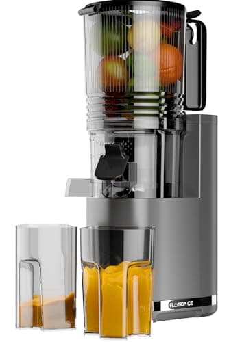 Cold Press Juicer, 6.5" Extra Large Feed Chute Juicer Machines, 350W Slow Masticating Juicer Machines with High Juice Yield for Whole Vegetables & Fruits, BPA Free, Titanium Gray, Easy to Clean - Image 1