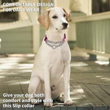 haoyueer Martingale Dog Collar - Stainless Steel Chain, No Pull Training Collar with Flower Design for Large Medium Small Dogs (15, S) - Image 2