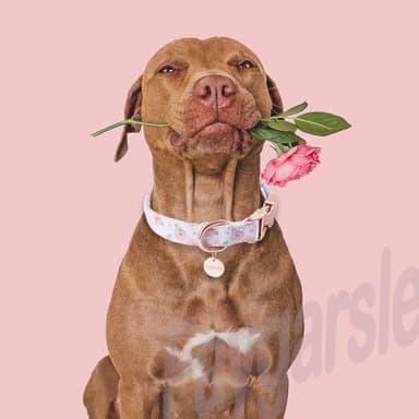 Faygarsle Pink Rose Pattern Dog Collar for Small Medium Large Dogs Cute Puppy Collars for Female Dogs for Summer Spring Wedding Necklace Girl Dog Collar L - Image 6