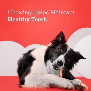 DreamBone DreamSticks, Rawhide Free Dog Chew Sticks Made with Real Chicken and Vegetables, 9 Sticks - Image 6