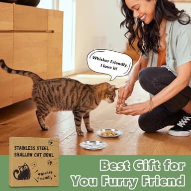 Petdream 8-Pack Stainless Steel Cat Food Bowls – Shallow Whisker-Friendly Non-Slip Silicone Base,Easy to Clean Indoor Feeding Dishes(6.7") - Image 6