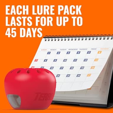 Terro Fruit Fly Traps for Indoors (6 Pack) + 270 Days of Lure Supply - Image 7