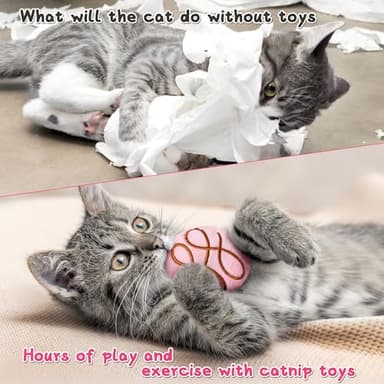 MALLMALL6 Catnip Toys for Cat - 5Pcs Chocolate Truffles Catmint Interactive Teething Chew Kick Cat Toy for Indoor Kitten, Soft Candy Pet Supplies, Pet Birthday Gifts for Kitten Lover - Image 5