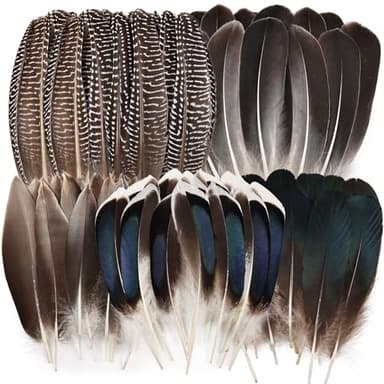 FeelfunFeather Pheasant Feathers -50pcs 5 Style Natural Mixed Decorative Spotted Feathers for DIY Crafts Wedding Home Party Decoration - Image 1