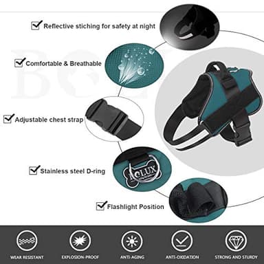 Bolux Dog Harness, No-Pull Reflective Dog Vest, Breathable Adjustable Pet Harness with Handle for Outdoor Walking - No More Pulling, Tugging or Choking (Turquoise, S) - Image 2