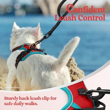 rabbitgoo Dog Harness No Pull with 2 Leash Clips, Adjustable Soft Padded, Reflective Oxford No Choke Pet Vest with Easy Control Handle for Puppy, Red & Teal, XS - Image 6