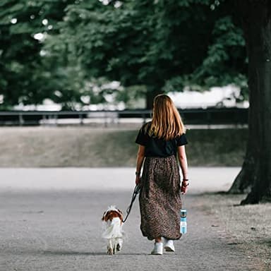 Cibaabo Dog Water Bottle with Food Container & Poop Bag Holder, Travel Water Bowl, Portable Pet Dispenser, Dog Gifts Stuff Accessories Items, Puppy Essentials for Yorkie Chihuahua Walking Hiking - Image 6