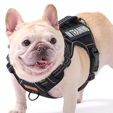 Dog Harness for Small Dog Breeds, Non Pulling Escape Proof Black Reflective Puppy Vest Harness with Handle, No Choke, Adjustable and Soft Padded, for Easy Walking and Training for Small Sized Dogs - Image 1