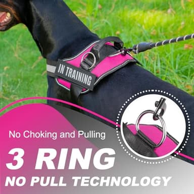 JUSTYEZI Essential Dog Harness with 3 Leash Clips - No-Pull, Adjustable, Comfortable Pet Vest Harness for Small to Large Dogs - Easy On, No Choke, Reflective, Padded Harness for Walking and Training - Image 4