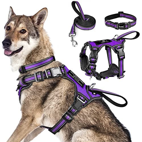 WINSEE Pet Harness Collar and Leash Set, All-in-one Reflective Dog Harness No Pull with Adjustable Buckles for Puppies, Small, Medium, Large, and Extra-Large Dogs (X-Large, Purple) - Image 1
