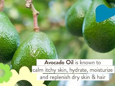 Babo Botanicals Super Shield SPF 50 Stick Sunscreen - 70% Organic Ingredients - Natural Zinc Oxide - For all ages - NSF & MADE SAFE Certified - EWG Verified - Water Resistant - Fragrance-Free - Image 5