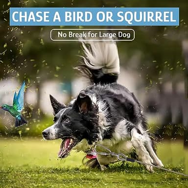 Dog Tie Out Cable for Dogs, 10ft Heavy Duty Dog Tether for Yard, Camping, Outside, Suitable for Small Medium Large Dogs, Silver, 10ft - Image 4