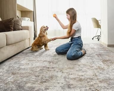 UERMEI 9x12 Area Rug Living Room Rugs - Washable Neutral Modern Abstract Soft Thin Large Rug Indoor Floor No Slip Rug Carpet for Bedroom Under Dining Table Home Office Decor - Brown Grey - Image 3