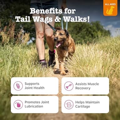 Zesty Paws Hip and Joint for Dogs, Glucosamine for Dogs Hip and Joint Supplement with Chondroitin, MSM, Vitamins C & E - Bacon, 90 Count - Image 2