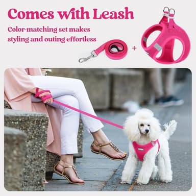 rabbitgoo Dog Harness Small Sized and Leash Set, Step in Soft Light Puppy Vest, Breathable Mesh Pet Harness, Reflective for Safe Easy Walking, Rose Red M - Image 6