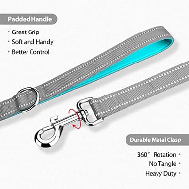 PHOEPET 5 Feet Dog Leash - Dual-Side Reflective - Soft Padded Handle - Fit for Walking, Training or Exploring Hiking, Camping (Grey + Mint Green Base) - Image 4