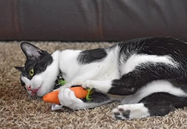 OurPets 100-Percent North American Catnip Filled Carrot Cat Toy 24 Karat - Image 2