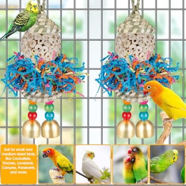 Conure Toys,2PCS Bird Toy Parrot Foraging Shredder Hanging Toys Sola Balls with Bell for Small Parrots Parakeets Cockatiel Conures Love Birds Budgie Cage Toy - Image 2