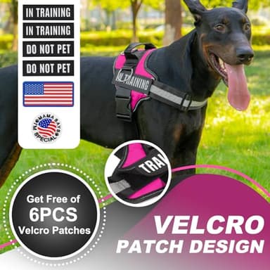 JUSTYEZI Essential Dog Harness with 3 Leash Clips - No-Pull, Adjustable, Comfortable Pet Vest Harness for Small to Large Dogs - Easy On, No Choke, Reflective, Padded Harness for Walking and Training - Image 2