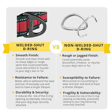 ADITYNA Heavy Duty Dog Collar for Medium Dogs - Medium Dog Collar with Handle - Ultra Comfortable Soft Neoprene Padded - Image 6