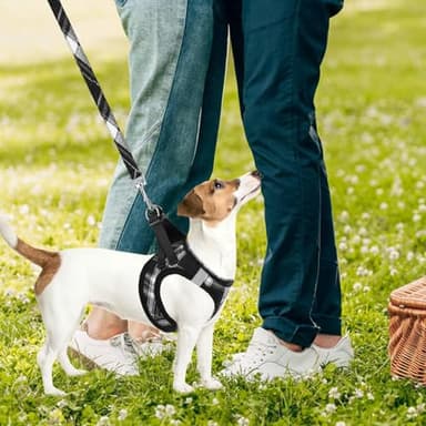 PUPTECK Adjustable Dog Harness Collar and Leash Set Step in No Pull Pet Harness for Small Medium Dogs Puppy and Cats Outdoor Walking Running, Soft Mesh Padded Reflective Vest Harnesses, Black XXS - Image 7